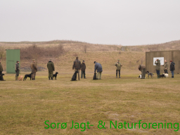 Hundetræning forår 2016
